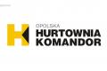 Przedstawiciel Handlowy w hurtowni art. meblowych
